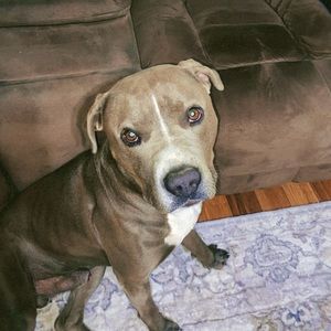 Meet your Posher, Alissa